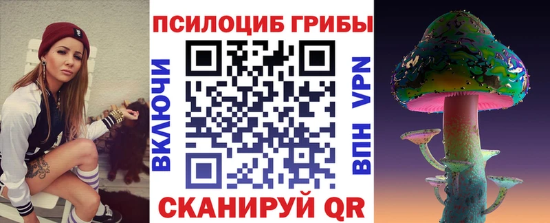 Купить  Кстово  Галлюциногенные грибы MAGIC MUSHROOMS 